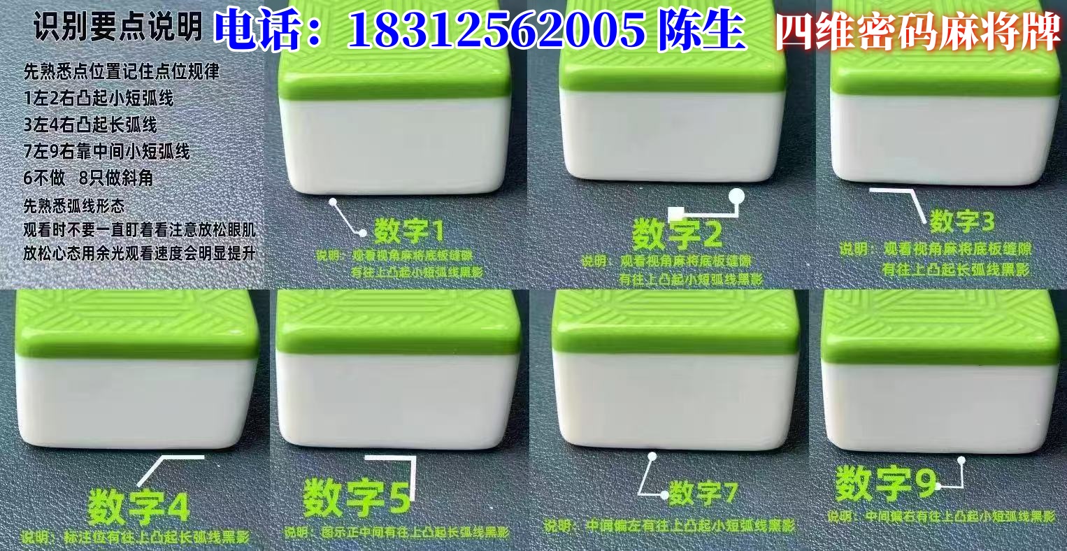 四维.jpg