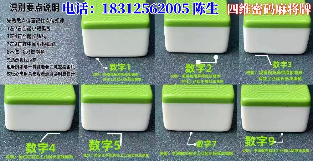 四维.jpg